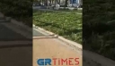 Θεσσαλονίκη: Συμπλοκή αλλοδαπών με τραυματίες μπροστά από παιδική χαρά – Δείτε βίντεο