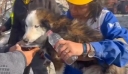 «Ήταν θαύμα»: Διασώθηκε σκύλος μετά από 23 ημέρες κάτω από ερείπια σπιτιού στη Τουρκία – Δείτε βίντεο