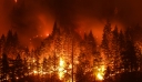ΗΠΑ: Ένα τρίτο των δασικών πυρκαγιών στη Βόρεια Αμερική προκαλείται από τα ορυκτά καύσιμα, δείχνει μελέτη