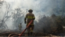 Στη Χιλή, μάχη με πυρκαγιές που απειλούν κατοικημένες περιοχές – Δείτε βίντεο