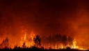 Η Γαλλία δίνει μάχη για την κατάσβεση πυρκαγιάς «τέρατος» κοντά στο Μπορντό