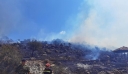 Φωτιά στη Λέσβο – Επιχειρούν ισχυρές πυροσβεστικές δυνάμεις για να μην απειληθεί δάσος