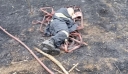 Εύβοια: Συγκλονίζει η εικόνα πυροσβέστη που κοιμάται εξουθενωμένος στο έδαφος μετά από μάχη με τις φλόγες