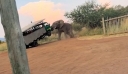 Η στιγμή που ελέφαντας σηκώνει στον αέρα λεωφορείο με τουρίστες