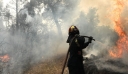 Μεγάλη φωτιά σε δύσβατη δασική περιοχή στην Κασσάνδρα Χαλκιδικής