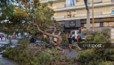 Κρήτη: «Θα κινηθούμε νομικά» λέει ο γιος του 50χρονου που καταπλακώθηκε από δέντρο