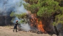Φωτιά σε δασική έκταση στην Ψάθα – Σηκώθηκαν αεροσκάφη για την κατάσβεση