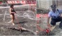 ΗΠΑ: Έβγαλε βόλτα με λουρί αλιγάτορά για να δροσιστεί σε σιντριβάνι – Δείτε βίντεο