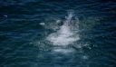 Καβάλα: Ακόμη ένας πνιγμός στη θάλασσα – Νεκρός ανασύρθηκε 87χρονος