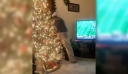 Όταν η εικονική πραγματικότητα συναντά το χριστουγεννιάτικο δέντρο