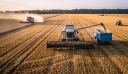 Ρωσία: Οι εξαγωγές σιτηρών αναμένεται να φθάσουν τα 50-55 εκατ. τόνους το 2023-2024
