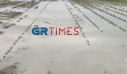 Πέλλα: Το μπουρίνι μετέτρεψε τα χωράφια σε… λιμνοθάλασσες – Καταστράφηκαν οι καλλιέργειες (βίντεο)