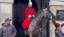 Η στιγμή που άλογο της βασιλικής φρουράς δαγκώνει την αλογοουρά τουρίστριας