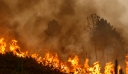 Ακραίος καύσωνας και μεγάλες πυρκαγιές σε Πορτογαλία, Ισπανία και Γαλλία