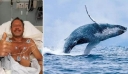 Μεγάπτερη φάλαινα 25 τόνων κατάπιε άνδρα και αυτός επέζησε χωρίς γρατζουνιά