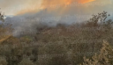 Φωτιά: Σε εξέλιξη  η πυρκαγιά  στον Πλατανιά στο νότιο Πήλιο
