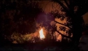 Πάτρα: Μεγάλη φωτιά σε καλαμιές δίπλα σε σπίτια – Βίντεο