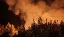 Ηλεία: Μεγάλη πυρκαγιά στην Αμαλιάδα