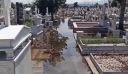Καταιγίδες: Βροχές σε όλη τη χώρα – Πλημμύρισε το νεκροταφείο στην Πτολεμαΐδα, κεραυνός σκότωσε κοπάδι με πρόβατα (βίντεο)