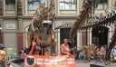 Ακτιβίστριες κόλλησαν στα κάγκελα έκθεσης για δεινόσαυρούς στο Βερολίνο