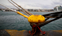 Κακοκαιρία: Απαγόρευση απόπλου από Πειραιά, Ραφήνα και Λαύριο λόγω ισχυρών ανέμων