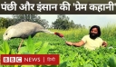 Ινδία: Διέσωσε και φρόντισε έναν σπάνιο γερανό, αλλά τώρα του τον κατάσχει το κράτος
