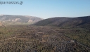 Βίντεο από drone δείχνει την καταστροφή από τη μεγάλη πυρκαγιά στον Παραδοσιακό Ελαιώνα Άμφισσας