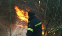 Φωτιά στον Κορυδαλλό – Σηκώθηκε ελικόπτερο
