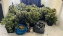 Δύο έμποροι ναρκωτικών συνελήφθησαν στο κέντρο της Αθήνας – Κατασχέθηκαν ένα κιλό κοκαΐνης και 6 κιλά κάνναβης