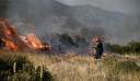 Θεσσαλονίκη: Διοικητικά πρόστιμα για πυρκαγιά σε ξερά χόρτα και θερμές εργασίες από την Πυροσβεστική