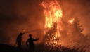 Φωτιά σε δασική έκταση στην Κορυφή Ηλείας – Μεγάλη κινητοποίηση της Πυροσβεστικής