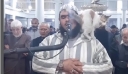 Αλγερία: Γάτα πηδά πάνω σε ιμάμη που κάνει την προσευχή για το Ραμαζάνι