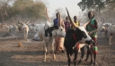 Νότιο Σουδάν: 28 νεκροί σε απόπειρες ζωοκλοπής
