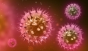 Μετά τον κορωνοϊό, νέα ανησυχία στην Κίνα: 35 άτομα θετικά σε ιό που μεταδόθηκε, πιθανόν, από ζώο