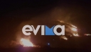 Φωτιά σε δασική έκταση στον δήμο Κύμης-Αλιβερίου