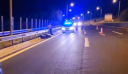 Κοζάνη: Αρκούδα συγκρούστηκε με αυτοκίνητο στην Εγνατία Οδό – Δείτε βίντεο