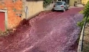 Δύο εκατομμύρια λίτρα κόκκινου κρασιού «πλημμυρίζουν» τους δρόμους πορτογαλικού χωριού – Έσπασαν δεξαμενές σε αποστακτήριο