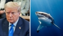 Εμμονή του Τραμπ με τους καρχαρίες ακόμη και στον θάνατο