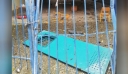Σέρρες: «Έκλεισαν τις βάνες του λέβητα και δεν ασφάλισαν τον καυστήρα»