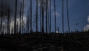 Περίπου 900 πυροσβέστες συνεχίζουν τη μάχη με τις φλόγες στην Τσεχία