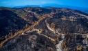 Έκθεση για τα οικονομικά των δασικών πυρκαγιών από τη WWF