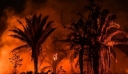 Βραζιλία: Καταστροφικός Μάιος για τον Αμαζόνιο – Σχεδόν 2.300 πυρκαγιές εκδηλώθηκαν σε έναν μήνα