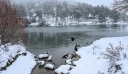 Χιόνια σε Αττική και Εύβοια: Εντυπωσιακές εικόνες από Πάρνηθα, λίμνη Μπελέτσι, Βίλια και Σέτα