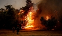 Η φωτιά στον Έβρο, η μεγαλύτερη μεμονωμένη στην Ευρώπη από τη δεκαετία του 1980