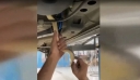 Θεσσαλονίκη: Φίδι ενός μέτρου εγκλωβίστηκε σε ντεπόζιτο βενζίνης αυτοκινήτου