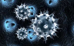 Αναστάτωση έχει προκαλέσει η πιθανότητα διασποράς του ιού MERS