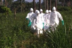 Παγκόσμιος Οργανισμός Υγείας – Εκπέμπει SOS εξαιτίας της επιδημίας του Έμπολα