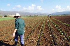Ποιοι αγρότες δικαιούνται να πάρουν οικονομική ενίσχυση