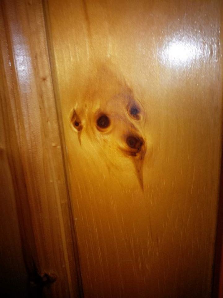 AΠΙΣΤΕΥΤΟ κι όμως αληθινό – Το πνεύμα του σκύλου “εμφανίστηκε” σε πόρτα   Δείτε τη φωτογραφία!! [pic]