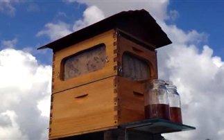 Η κυψέλη που βγάζει αυτόματα μέλι